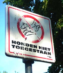 No_dogs_allowed250