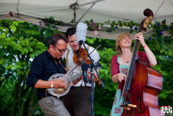 ZOMERZONDAG 20JUNI2015 foto jaap-reedijk-8145-X2-250